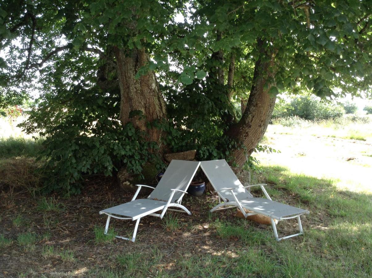 Homestay Arrabella Availles-Limouzine Kültér fotó